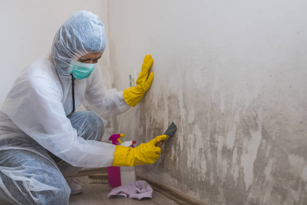 Water Damage and Restoration: Tips to dry your Memphis home and prevent mold after water damage