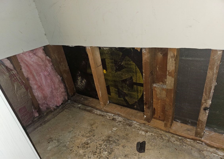 Water Damage Cleanup Costs